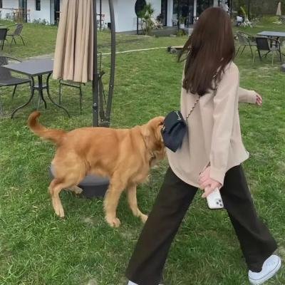 某人某地第三季